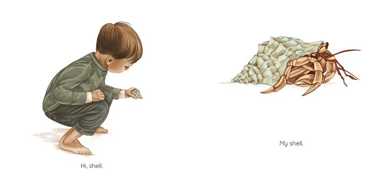 Seashell - Board Book