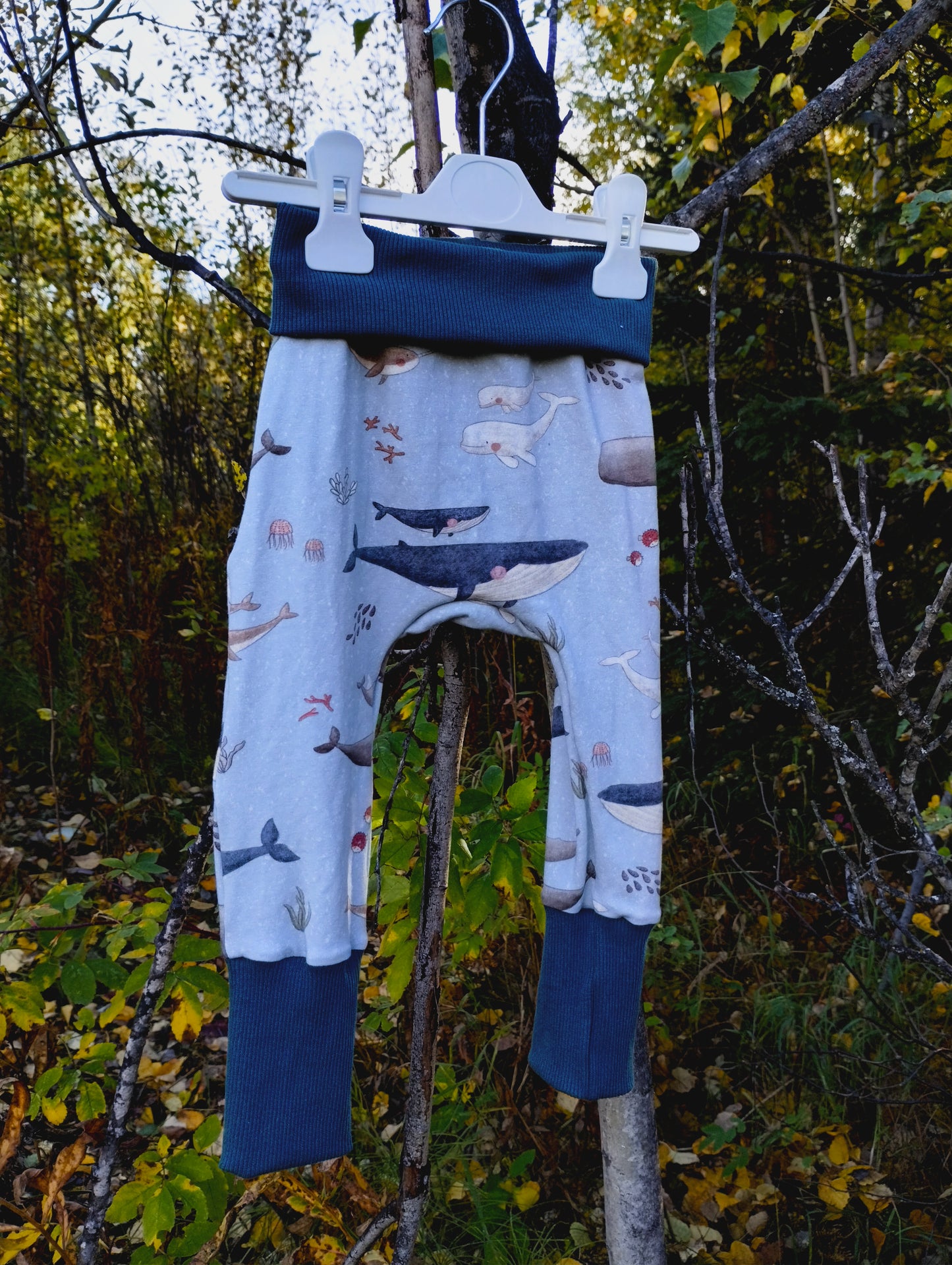 “Whale-y” Cute - Grow With Pants and Hoodies - Multiple Sizes