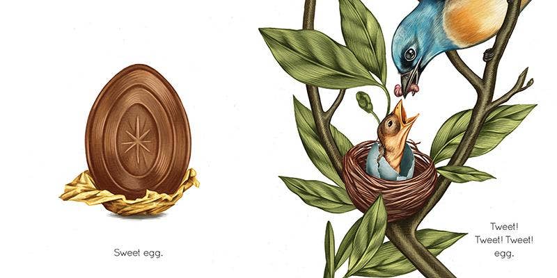 Egg - Board Book
