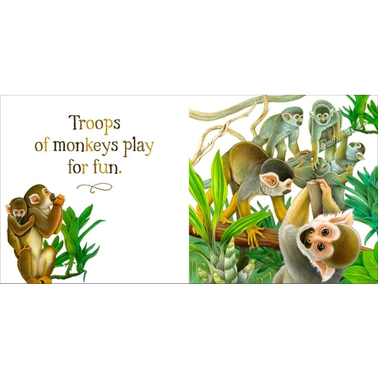 Crowds of Creatures - Board Book