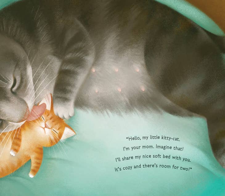 Hello Baby - hardcover book