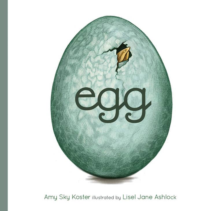Egg - Board Book