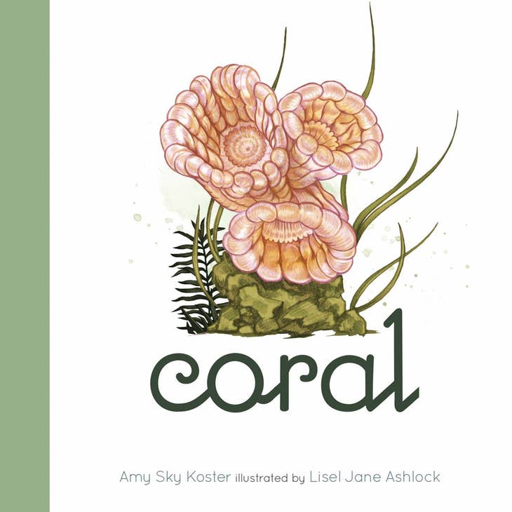 Coral - Board Book