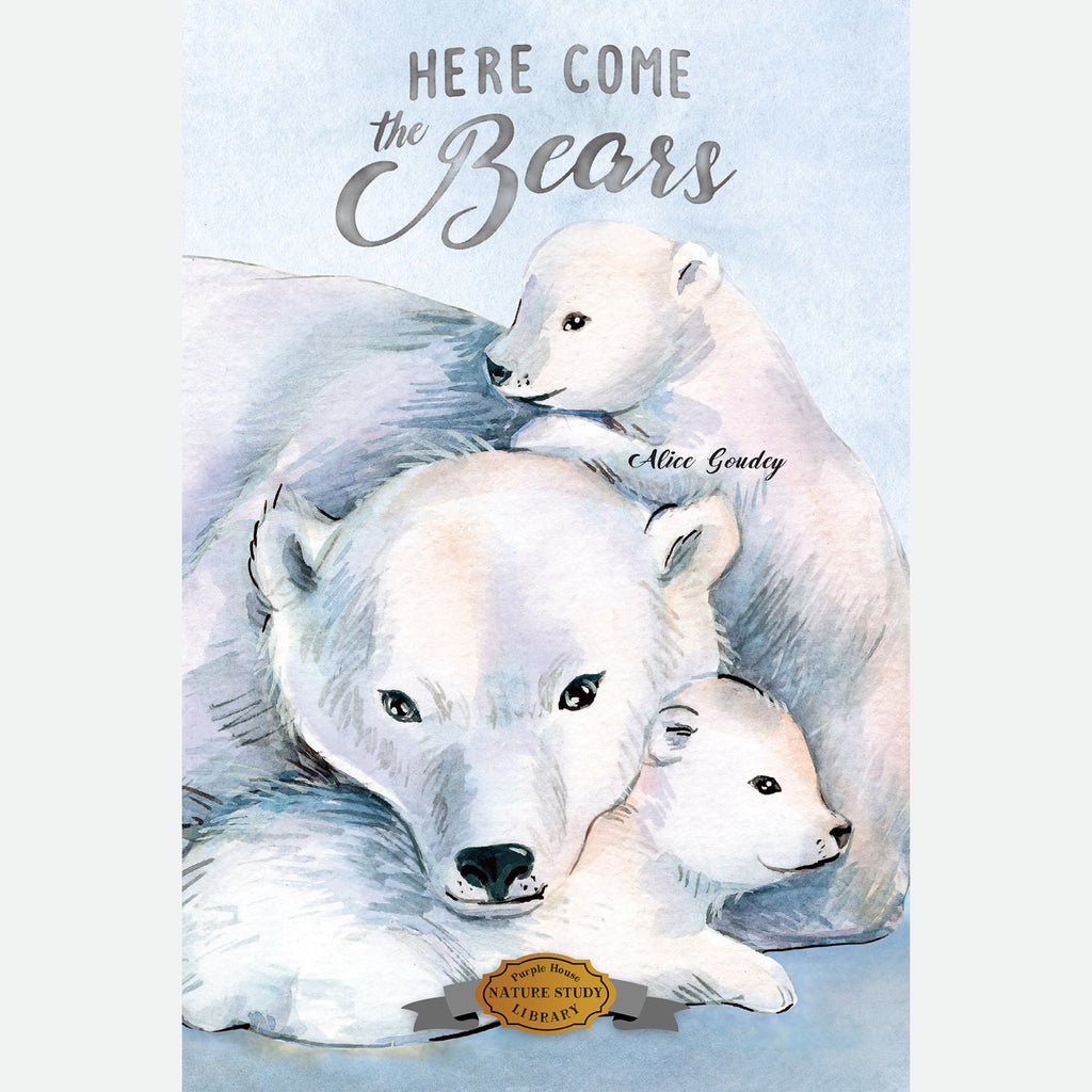 Here Comes the Bears - Paperback Book