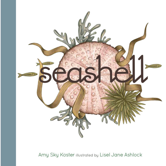 Seashell - Board Book