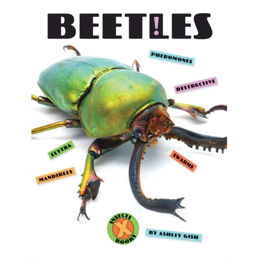 X Books: Beetles - Paperback Book
