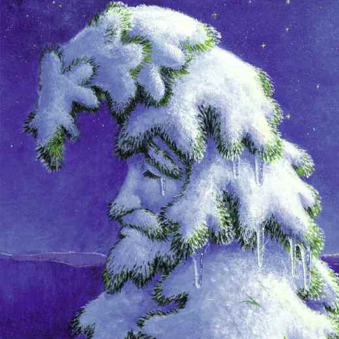 A Wish to Be a Christmas Tree - Board Book